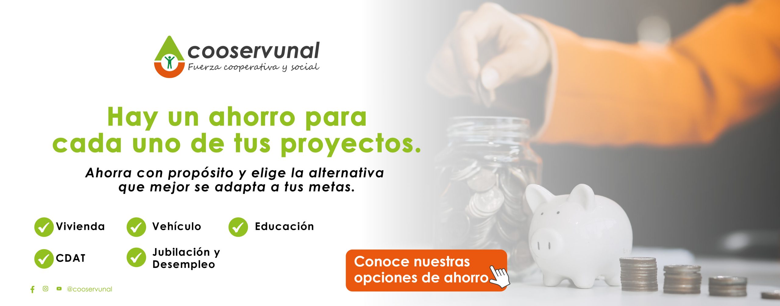 Portafolio de ahorro